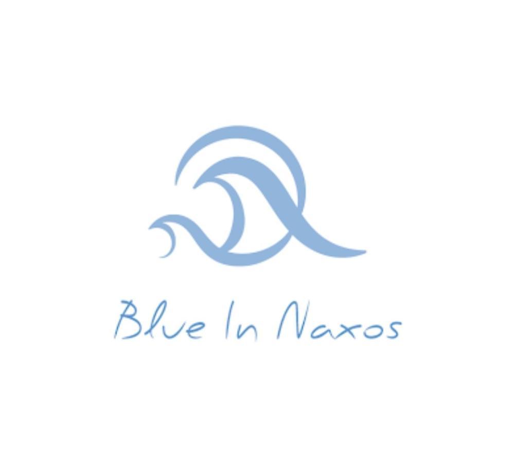 Hotel Blue In Naxos à Naxos City Extérieur photo